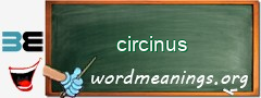WordMeaning blackboard for circinus